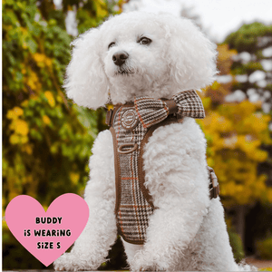 Trail & Glow Tweed Dog Harness - Colour Drops - Heritage Plaid - Bailey and Coco (UK)
