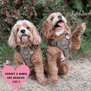 Trail & Glow Tweed Dog Harness - Colour Drops - Heritage Plaid - Bailey and Coco (UK)