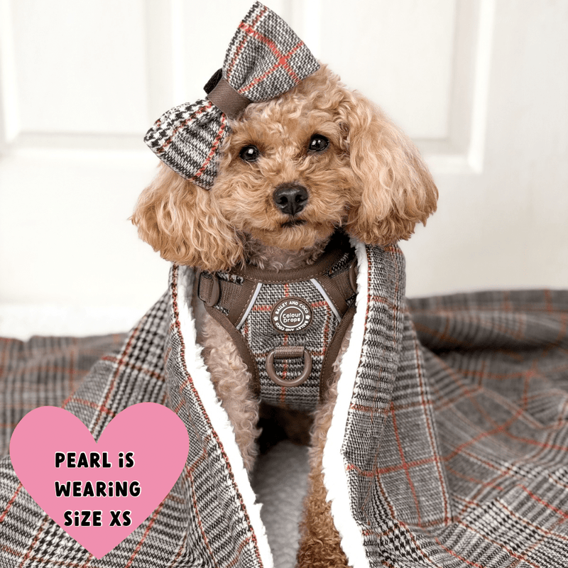 Trail & Glow Tweed Dog Harness - Colour Drops - Heritage Plaid - Bailey and Coco (UK)