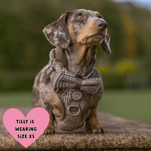 Trail & Glow Tweed Dog Harness - Colour Drops - Heritage Plaid - Bailey and Coco (UK)