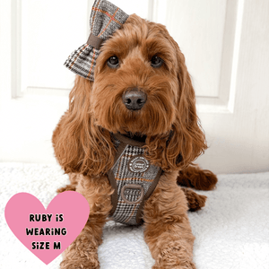 Trail & Glow Tweed Dog Harness - Colour Drops - Heritage Plaid - Bailey and Coco (UK)