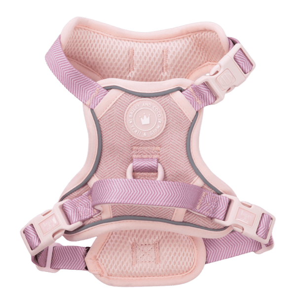 Trail & Glow Tweed Dog Harness - Colour Drops - Lavender Tweed