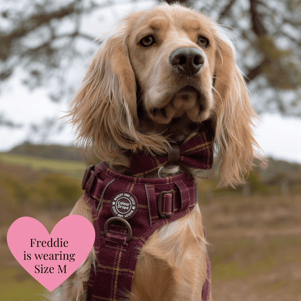 Trail & Glow Tweed Dog Harness - Colour Drops - Mulberry Plaid - alternate view