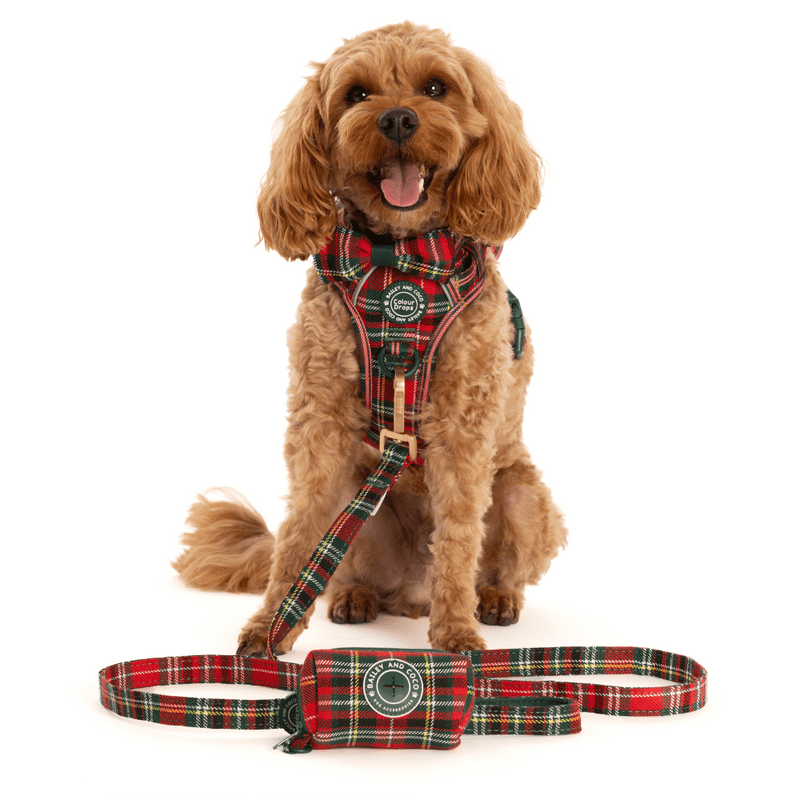 Trail & Glow Tweed Dog Harness - Colour Drops - Red Highland Tartan - Bailey and Coco (UK)