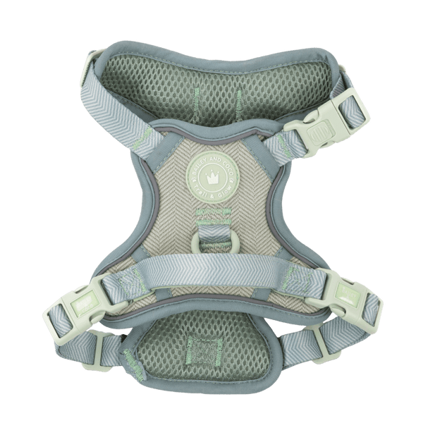 Trail & Glow Tweed Dog Harness - Colour Drops - Sage Tweed - Bailey and Coco (UK)