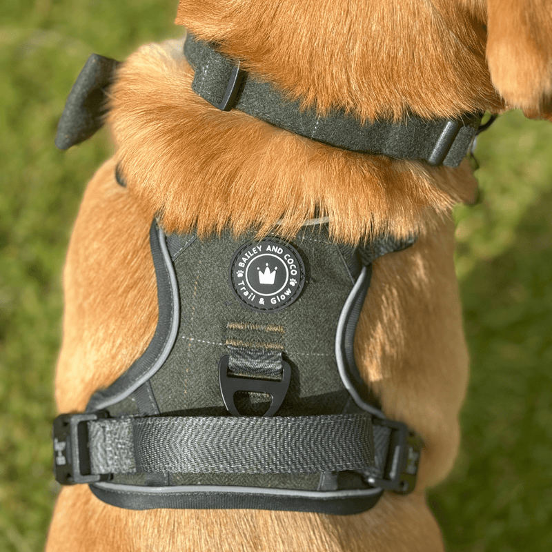 Trail & Glow Tweed Dog Harness - Forest Tweed - Bailey and Coco (UK)
