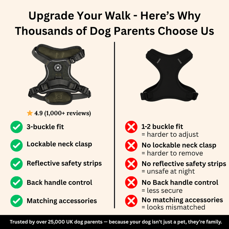 Trail & Glow Tweed Dog Harness - Forest Tweed - Bailey and Coco (UK)
