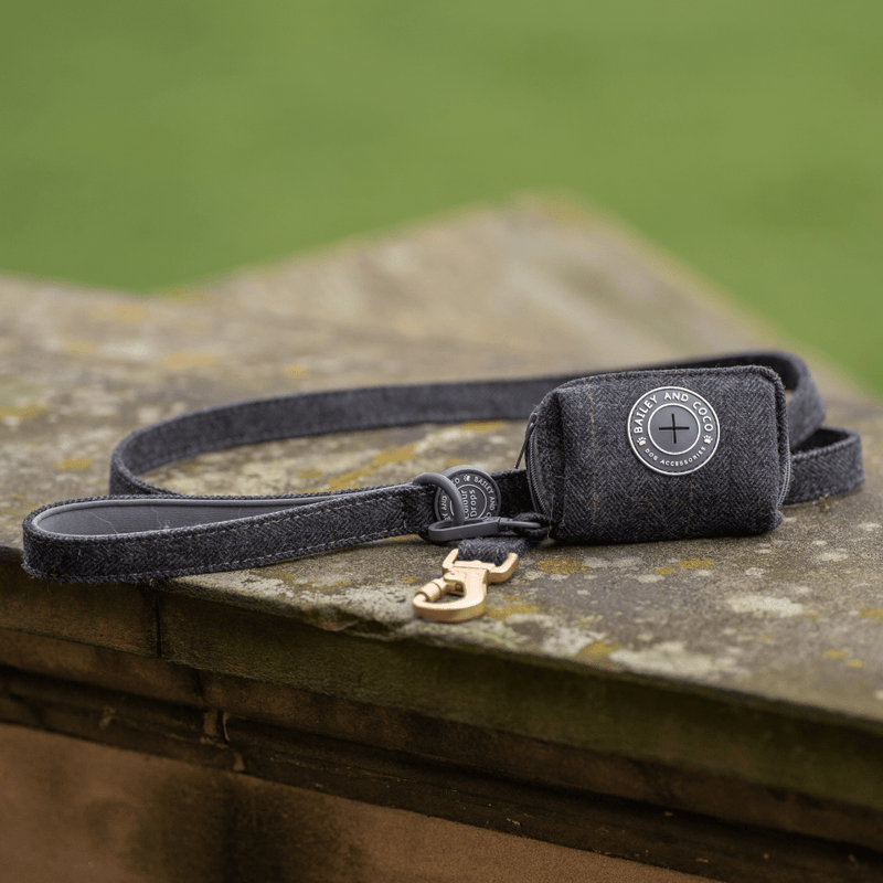 Trail & Glow Tweed Dog Harness & Lead Set - Colour Drops - Charcoal Tweed - Bailey and Coco (UK)
