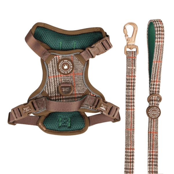 Trail & Glow Tweed Dog Harness & Lead Set - Colour Drops - Heritage Plaid - Bailey and Coco (UK)