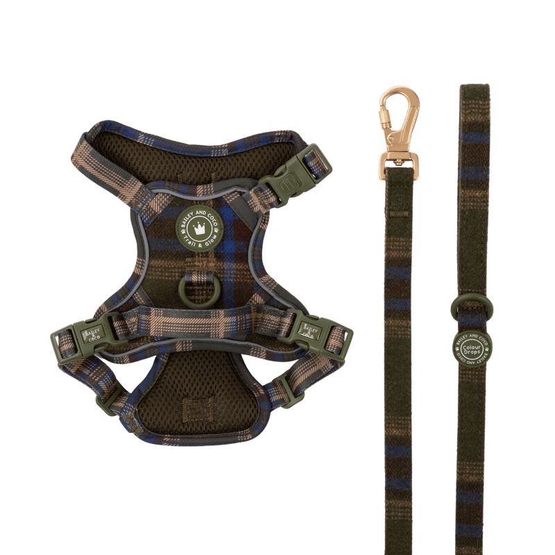 Trail & Glow Tweed Dog Harness & Lead Set - Colour Drops - Mayfair Tweed - Bailey and Coco (UK)