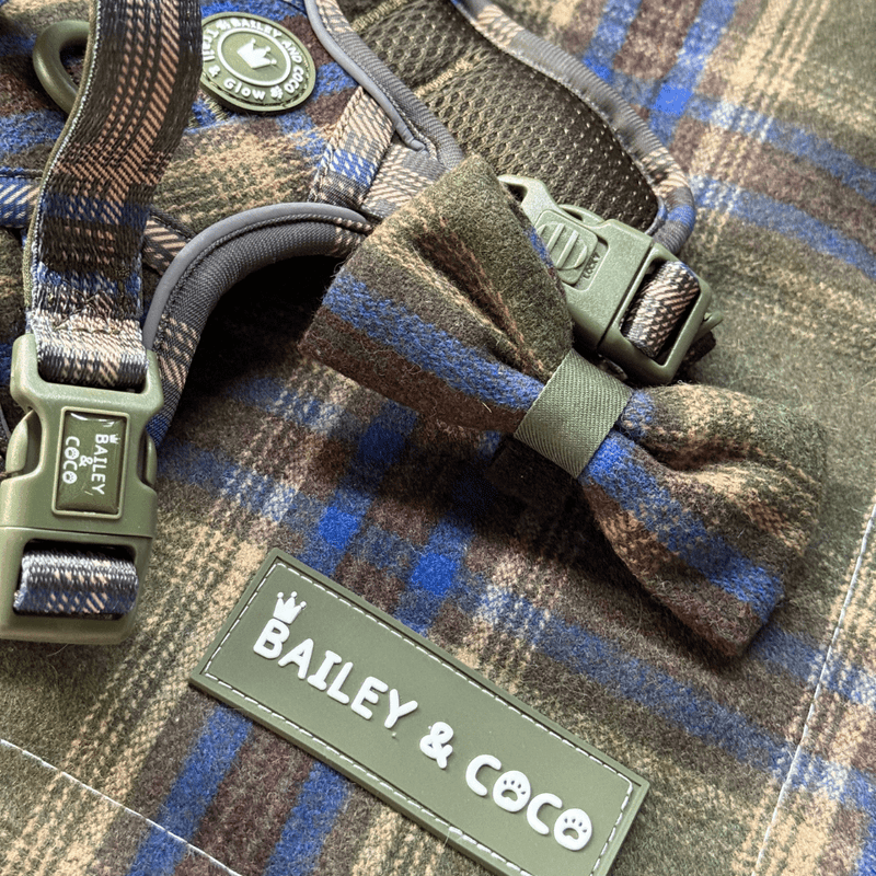 Trail & Glow Tweed Dog Harness & Lead Set - Colour Drops - Mayfair Tweed - Bailey and Coco (UK)