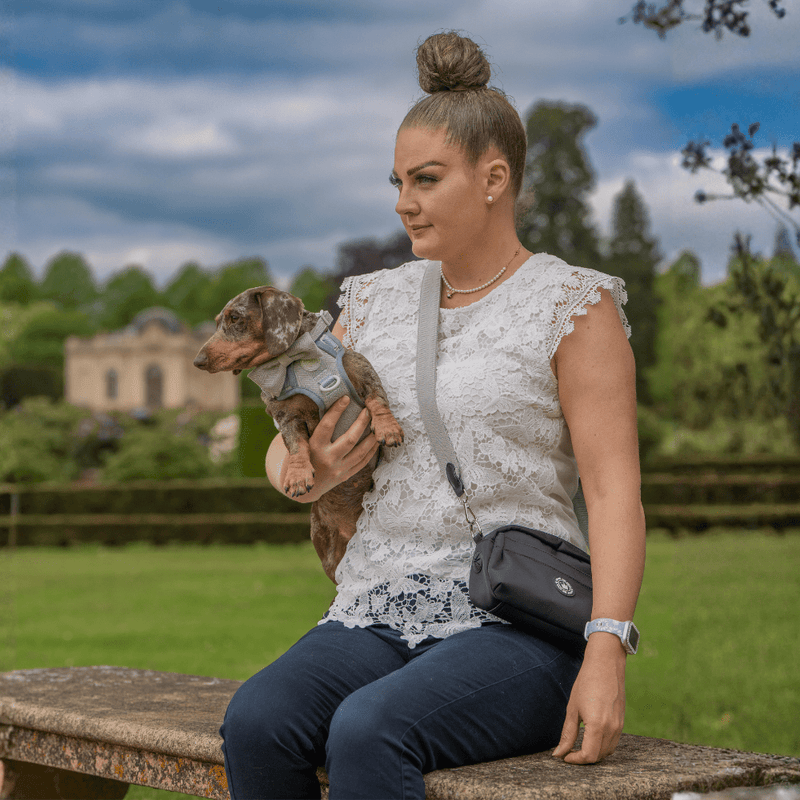 Trail & Glow Tweed Dog Harness & Lead Set - Colour Drops - Sage Tweed - Bailey and Coco (UK)