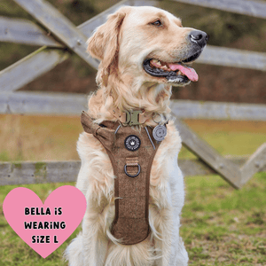 golden retriever harness
