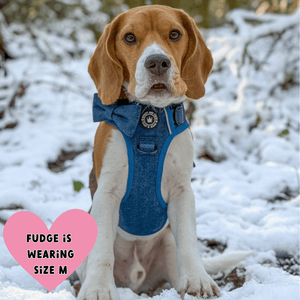 best harness for beagle