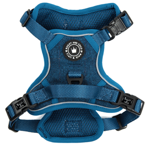 Trail & Glow Tweed Dog Harness - Sapphire Tweed - Bailey and Coco (UK)