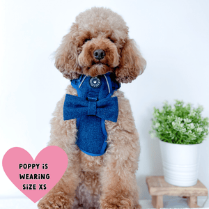 best cockapoo harness