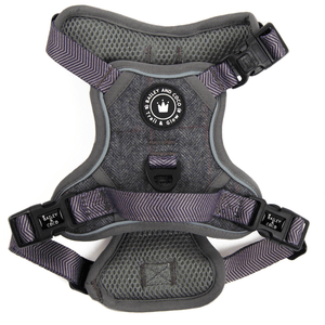 Trail & Glow Tweed Dog Harness - Slate Tweed - Bailey and Coco (UK)