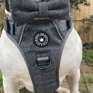 Trail & Glow Tweed Dog Harness - Slate Tweed - Bailey and Coco (UK)