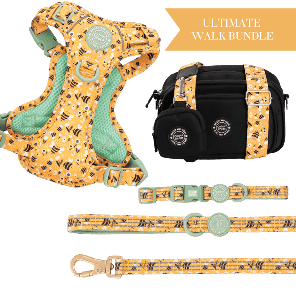 Wanna - Bee Adjustable Dog Harness, Lead, Collar & Black Dog Walking Bag Bundle - Bailey and Coco (UK)