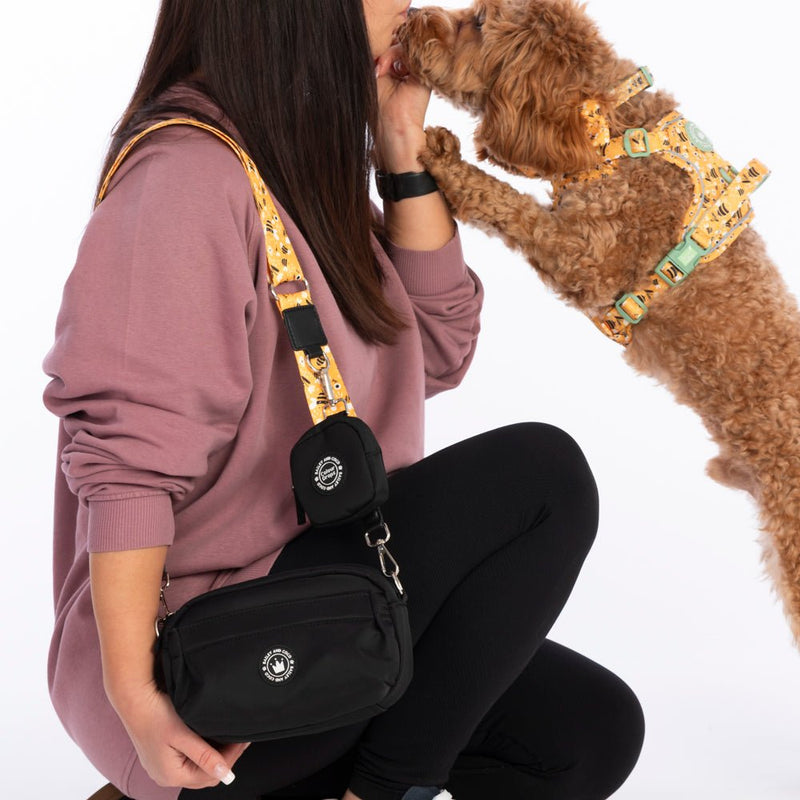 Wanna - Bee Colour Drops - Adjustable Dog Harness, Lead, Collar & Mini Black Dog Walking Bag Bundle - Bailey and Coco (UK)