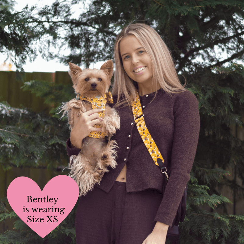 Wanna - Bee Colour Drops - Adjustable Dog Harness, Lead, Collar & Mini Black Dog Walking Bag Bundle - Bailey and Coco (UK)