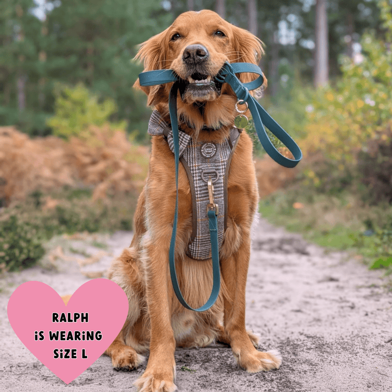 Waterproof Dog Lead & Collar Set - Colour Drops - Forest Green - Bailey and Coco (UK)