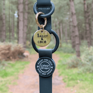 Waterproof Dog Lead & Collar Set - Colour Drops - Forest Green - Bailey and Coco (UK)
