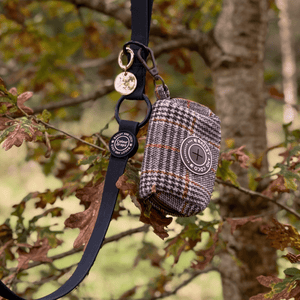 Waterproof Dog Lead & Collar Set - Colour Drops - Jet Black - Bailey and Coco (UK)