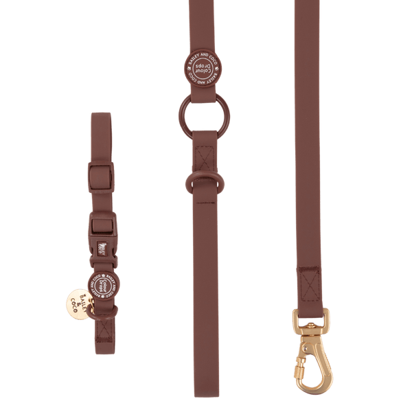 Waterproof Dog Lead & Collar Set - Colour Drops - Mulberry - Bailey and Coco (UK)