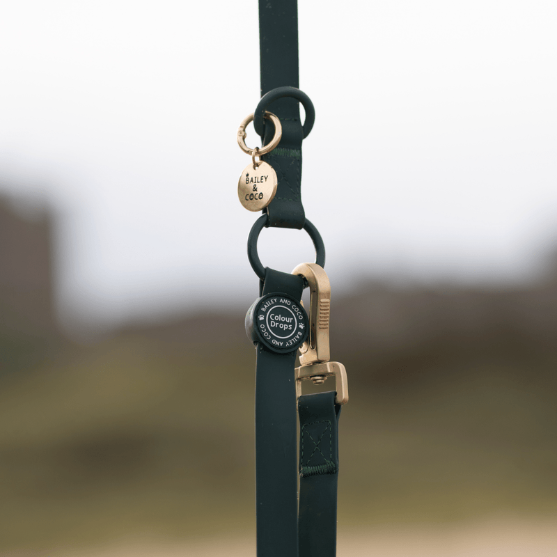 Waterproof Dog Lead - Colour Drops - Forest Green - Bailey and Coco (UK)
