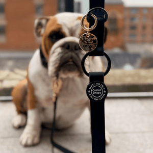 Waterproof Dog Lead - Colour Drops - Jet Black - Bailey and Coco (UK)