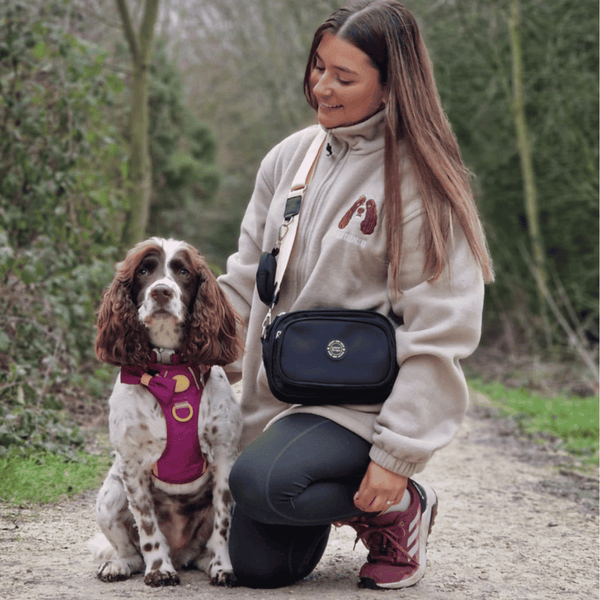 We're Jammin Adjustable Dog Harness, Lead, Collar & Dog Walking Bag Bundle - alternate view