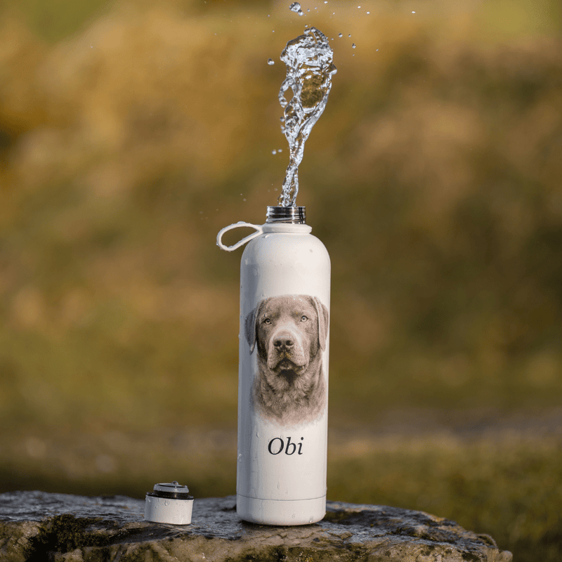 Your Dog on a Bottle (Personalised) – 1L Pulse Bottle - Bailey and Coco (UK)