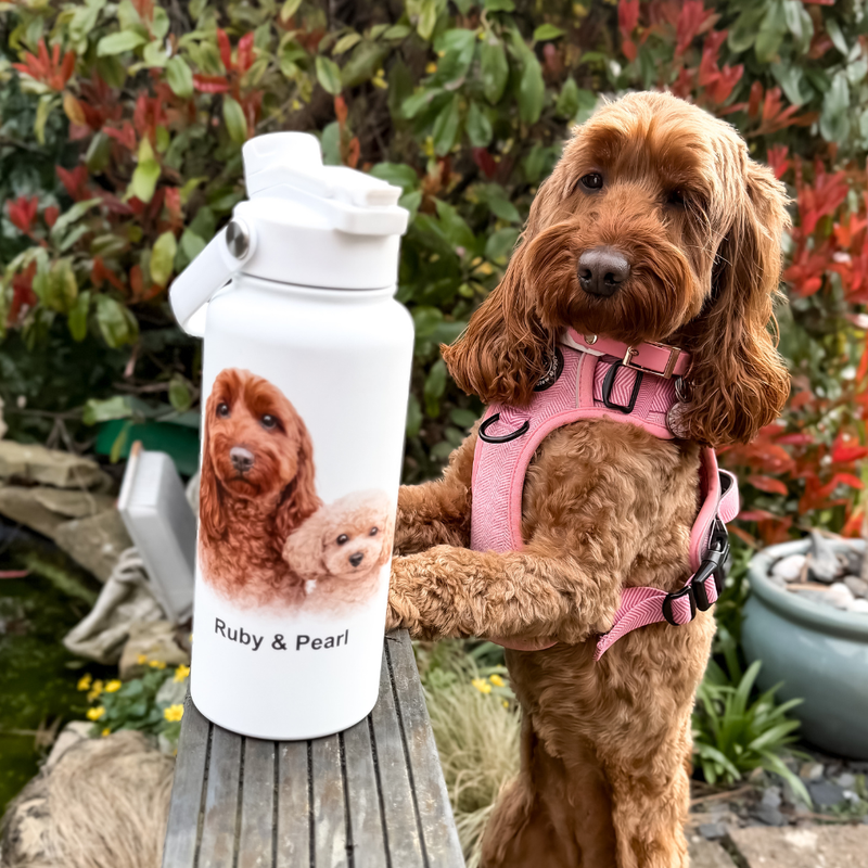 Your Dog on a Bottle (Personalised) – 1L Switch Bottle - Bailey and Coco (UK)