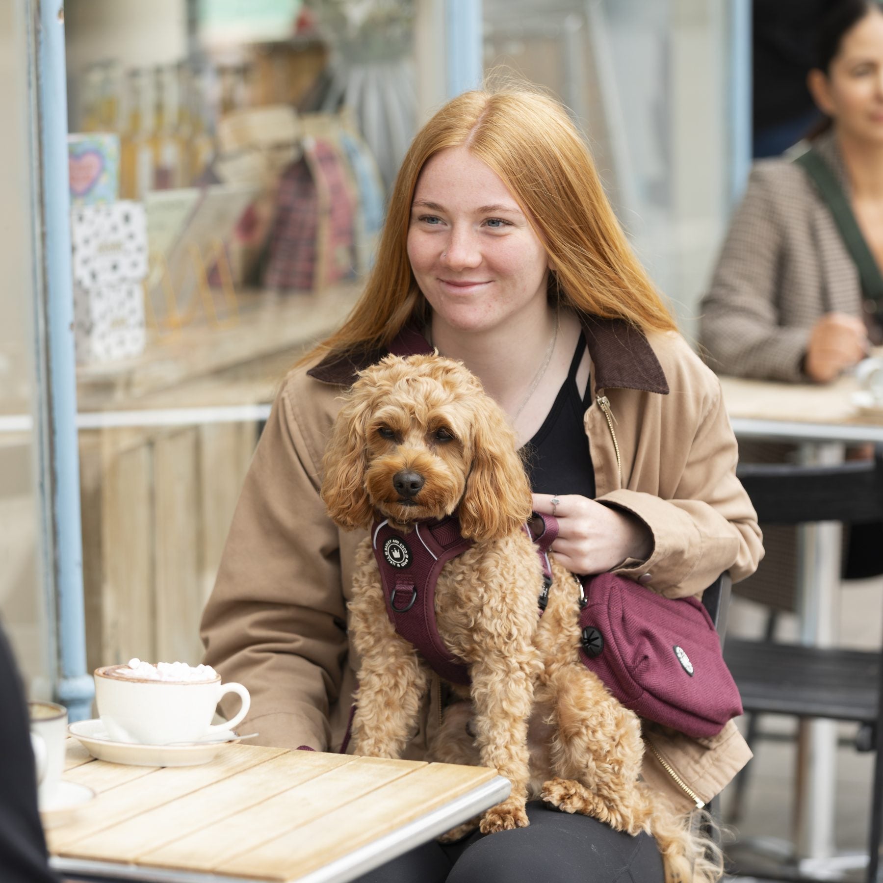 Jade at a café table with a cockapoo in a Mulberry Tweed harness and the matching Mulberry Tweed walking bag