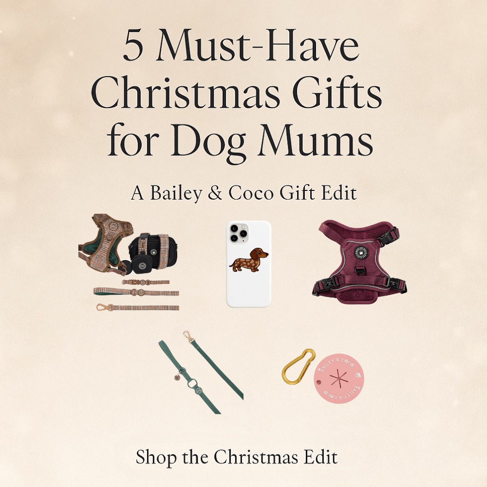 5 Must-Have Gifts for Dog Mums This Christmas 2025