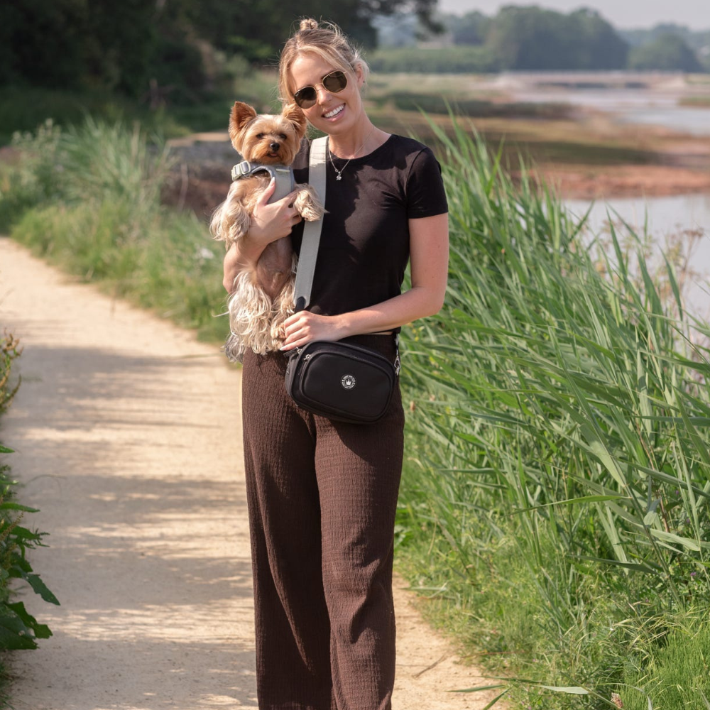Best Harness for Yorkshire Terriers UK 2026: The Gentle, No Over-Head Guide