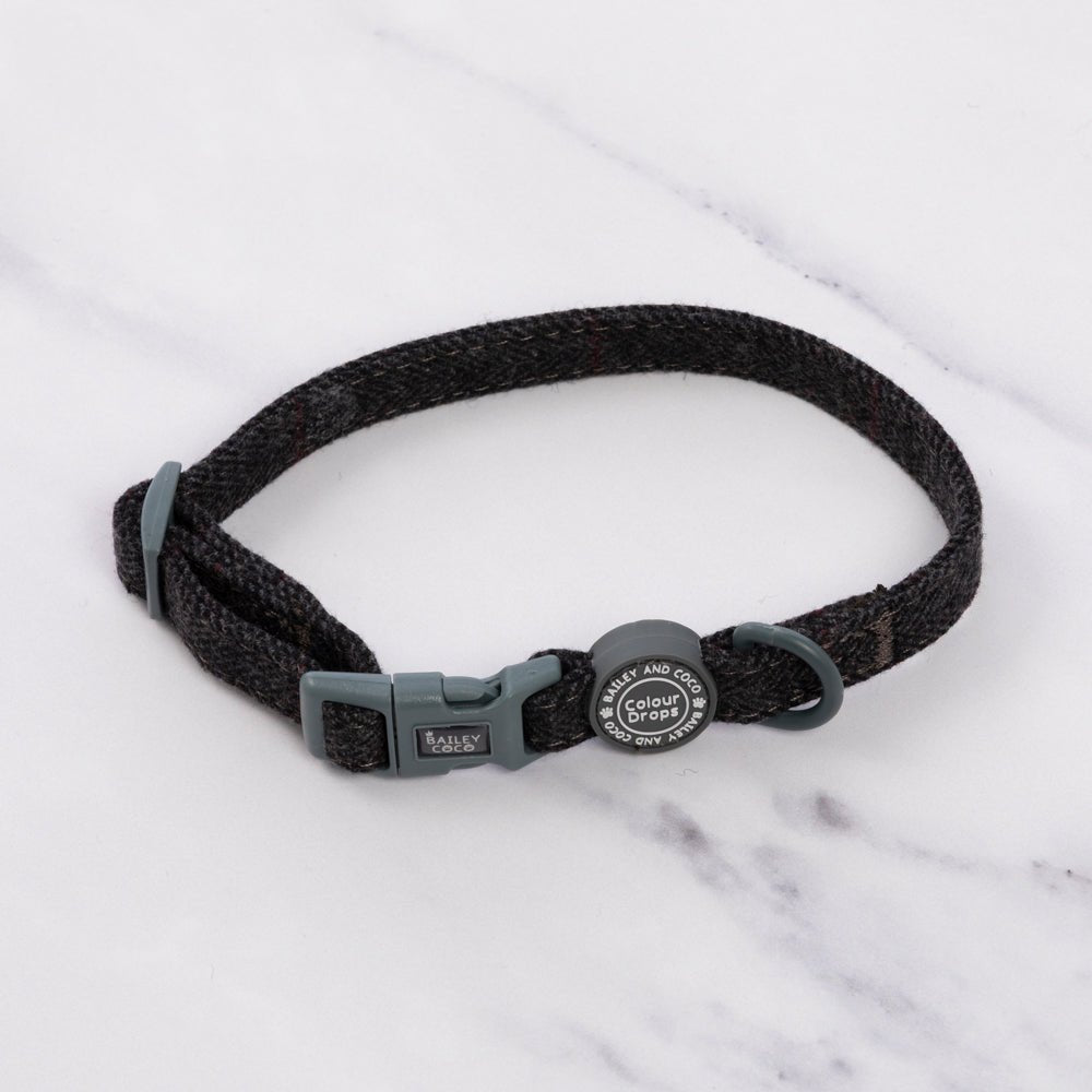 Best Dog Collars for Small Dogs UK 2026