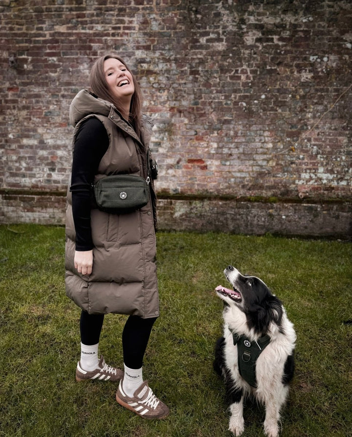 Best Harness for Border Collies UK 2026: Complete Sizing & Fit Guide - Bailey and Coco (UK)