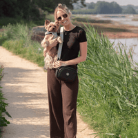 Best Harness for Yorkshire Terriers UK 2026: The Gentle, No Over-Head Guide