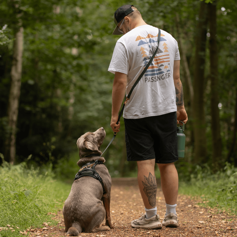 Best Lead for a Dog That Pulls: What to Look For