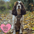 Best No-Pull Harness for a Cocker Spaniel That Pulls – Complete Guide - Bailey and Coco (UK)
