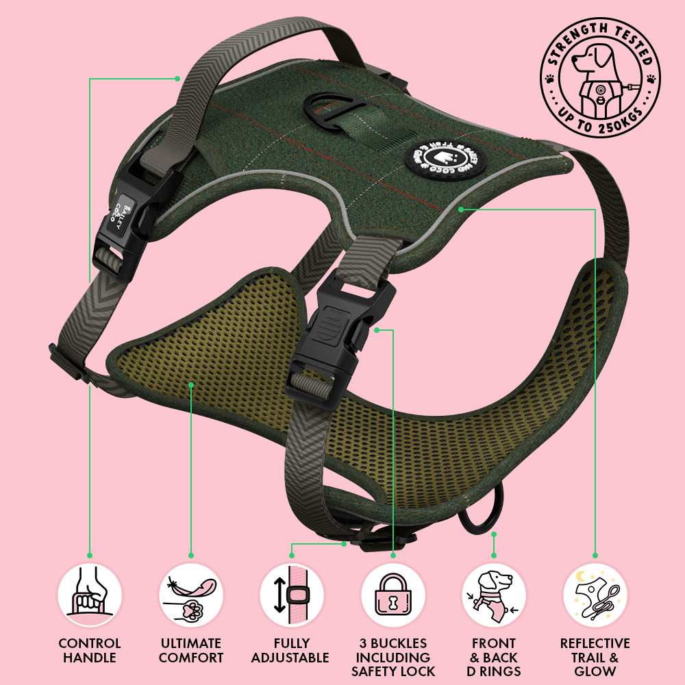 Best Puppy Harness by Bailey & Coco - Bailey and Coco (UK)
