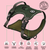 Best Puppy Harness by Bailey & Coco - Bailey and Coco (UK)