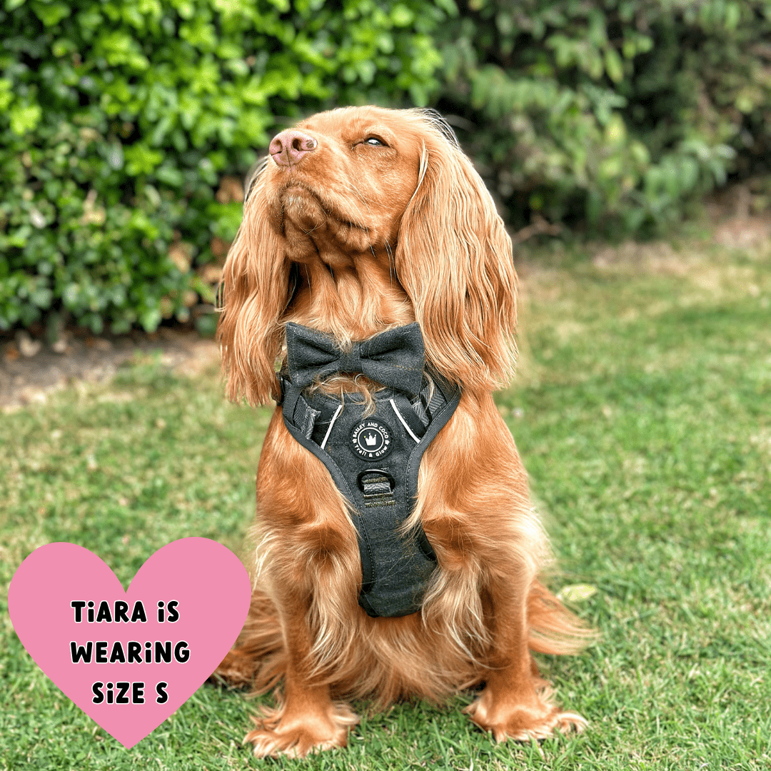 Cocker Spaniel Harness Size Guide: Find the Perfect Fit for Your Spaniel