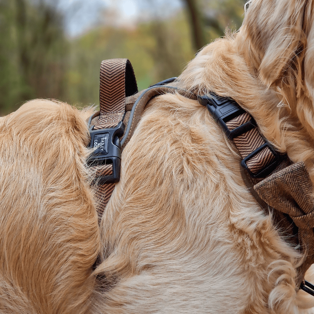Dog Harness with Handle