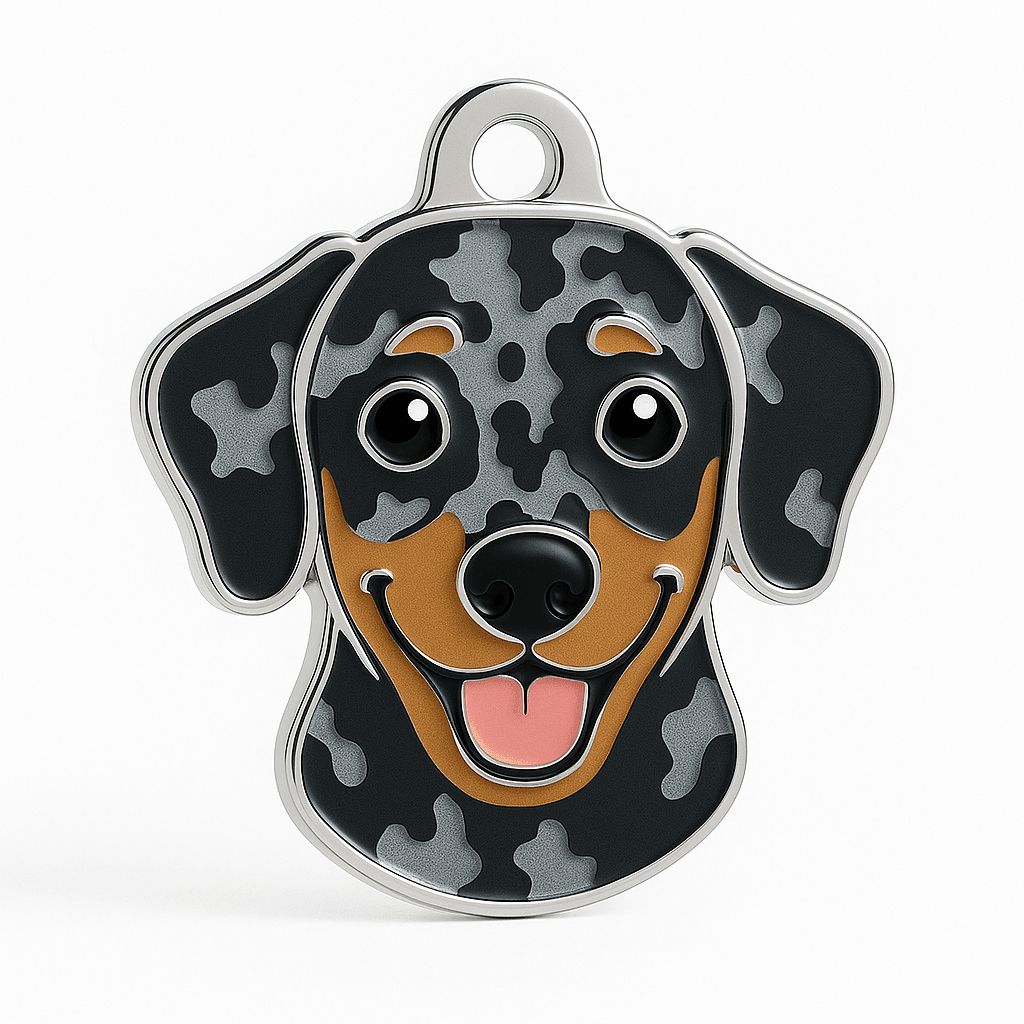 Dog ID Tag - Why It’s Essential & What to Include