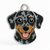Dog ID Tag - Why It’s Essential & What to Include - Bailey and Coco (UK)