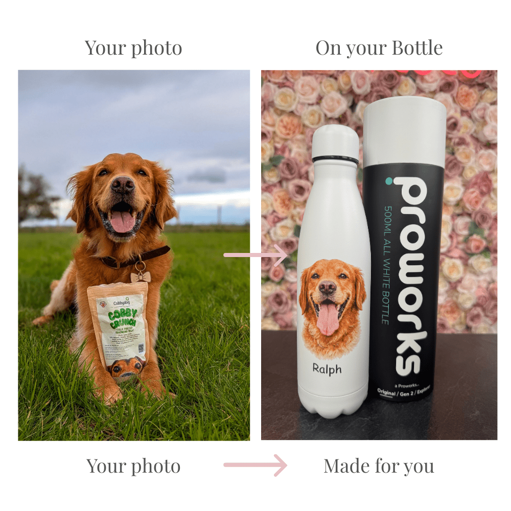 Dog Water Bottle Size Guide: How Much Water Does Your Dog Need?