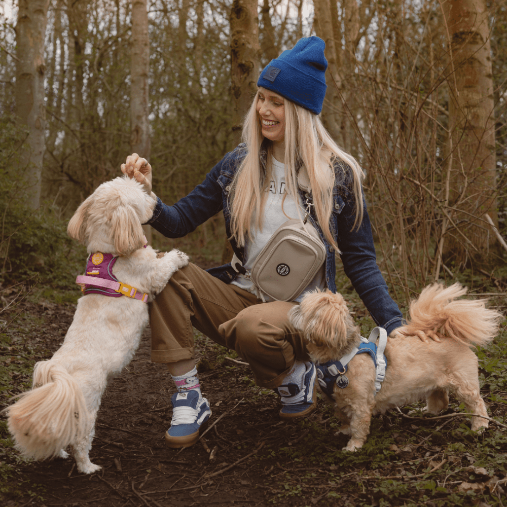 Hands-Free Dog Walking in the UK: Crossbody & Bum Bag Setups + Poop-Bag Solutions